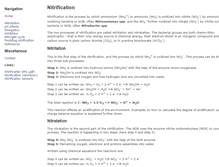 Tablet Screenshot of nitrification.org